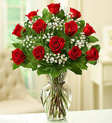 12 Premium Roses - You Choose Color Flower Power, Florist Davenport FL